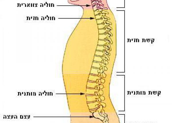 כאבים בעצם הזנב- Coccydynia