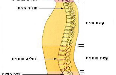 כאבים בעצם הזנב- Coccydynia